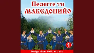 Де гиди луди млади години 