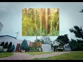 Choi Yu Ree - It’s All Relative [Visualizer]