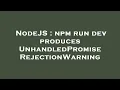 NodeJS npm run dev produces UnhandledPromiseRejectionWarning