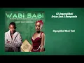 Download Lagu Drizzy Sam \u0026 Nompumiie-Ungangilibali Lyric Video