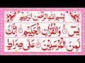 Download Lagu Surah Yaseen | Episode - 1180 || in Arabic Text HD | Like Saad Al Ghamdi 💓 Alafasy Daily Quran
