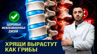 Всего 3 упражнения восстановят хрящи в позвоночнике и излечат от болезни