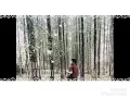 Ari Lasso - Cinta terakhir