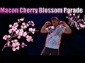 Macon Cherry Blossom Parade Lineup Battles 2025