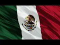 Mexican Flag waving background 4K free download