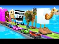 Download Lagu Long Slide Game With Cow Elephant Gorilla Hippopotamus Tiger 3d Animal Game Funny 3d Animals