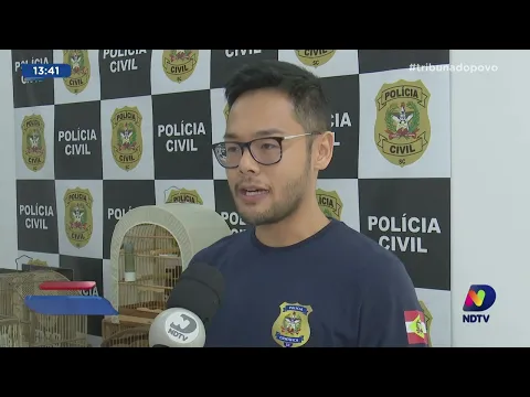 7 aves apreendidas: suspeito de ganhar dinheiro com tráfico de animais silvestres é preso