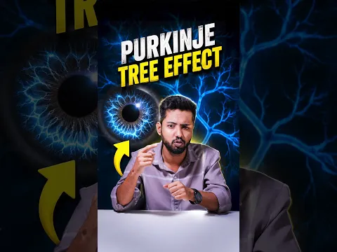 You Can Actually See Inside Your Eye! 🤯