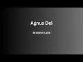 Lagu Agnus Dei - Brandon Lake - Lyrics