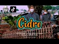 Download Lagu Terbaru !!! CIDRO angklung satria jogja ( musik versi angklung )
