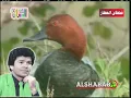 لو غيمت دنياي قحطان العطار