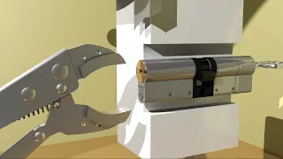                            دندنها