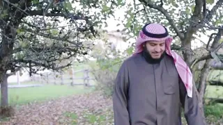 ربنا رب القلوب دندنها
