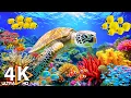 Lagu Underwater Wonders 4K | Marvel at Beautiful Sea Life in a Stunning 4K Aquarium 🌊 Sleep Music #1