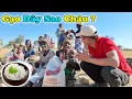 Download Lagu Công Giáp || Cả Thế Kỉ ? Hạt Gạo Là Gì ? Nấu Như Thế Nào ? Được Ví Như Vàng Từ Úc Tới Châu Phi !