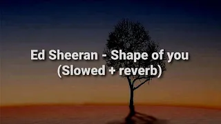 Ed Sheeran Shape Of You Slowed Reverb 