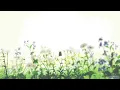Are you in Love~Kyle Lux (Slowed and Reverb)