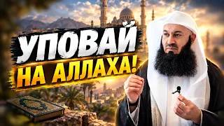 Научись доверять Аллаху | Муфтий Менк