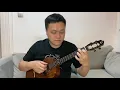 張國榮 - 有心人 ukulele fingerstyle covered by Ah Chi (Baritone)