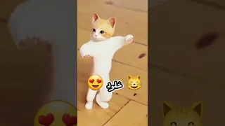 حسب الطلب الاكثر   خلود دندنها