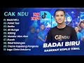 Download Lagu CAK NDU VIRAL TIKTOK - BADAI BIRU - POTRET TUA - DERITA || DANGDUT KOPLO HITS 2025