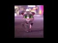 Download Lagu Mèo Talking Tom Dance Cute [10 Hours]