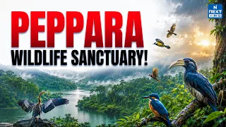 Peppara Wildlife Sanctuary | 124 Bird Species Recorded | UPSC | NEXT IAS