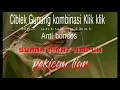 Mp3 pancingan Klik klik sawah kombinasi Ciblek gunung || Cocok untuk pikat