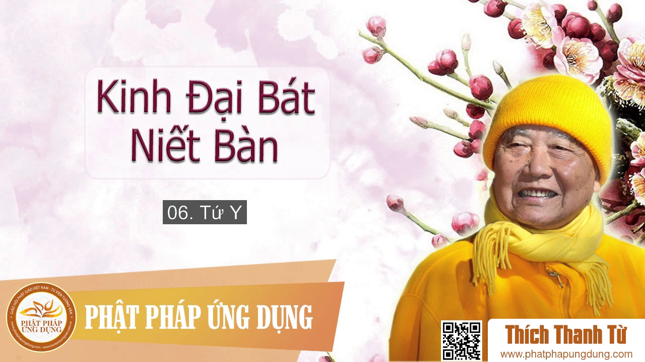 06 - Tứ Y - Thiền Sư Thích Thanh Từ giảng 