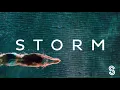 Tobtok & Adrian Lux - As I Sleep (ft. Charlee) (Official Audio) | Everlasting Grooves | Storm Music