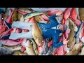2 Days at Sea GIANT Fish Haul Catch Clean Cook
