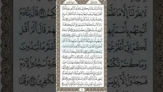 سورة البقرة ص   بصوت فضيلة الشيخ ياسر الدوسري دندنها