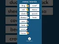 Animal Sounds In English