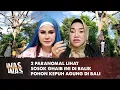 Lagu 2 Paranomal  Lihat Sosok Ghaib Ini DIbalik Pohon Kepuh Agung di Bali