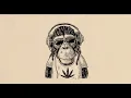 Sizzla - solid as a rock (instrumental)