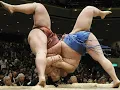 Sumo Wrestling for Self-Defence That s Right