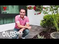 Tips de jardineria para embellecer el frente y la entrada de la casa