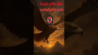 الاهلي حاله احب غيره استحاله الاهلي Football Viralvideo Footballshorts Fifa اهلاوي Fypシ Viral 