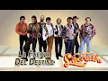Liberación - La Fuerza Del Destino (Visualizer)