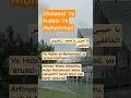 Download Lagu Sholawat Ya Habibi Ya Muhammad #shalawatnabi #shorts