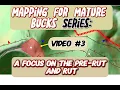 Mapping for Mature Bucks Series 3 - A Focus on the Pre-Rut and Rut