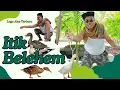 Download Lagu Lagu Alas Terbaru 2024 - Itik Belehem - Music Video Official