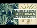 Download Lagu Der Ursprung der Formen in der Natur