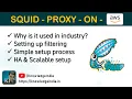 SQUID Proxy Server on AWS - Setup Demo Usage