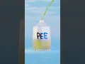 Download Lagu Filling The Grand Canyon With Pee 😳