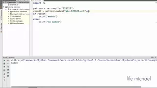 The Regular Expression match Function in Python