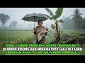 Download Lagu VIRAL !! NENEK PEMULUNG TEMUKAN B0CAH DIKEBUN DAN MERAWATNYA , 20 TAHUN KEMUDIAN JADI MILYARDER