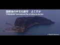 ショパン／夜想曲第2番 変ホ長調 Op. 9, No. 2　フジコ・ヘミング 協奏曲の夕べ　F.Chopin／Nocturne Op. 9, No. 2