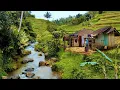 Download Lagu Tak di Sangka., Serpihan Surga Ada di Kampung Ini, Hanya Ada Dua Rumah di Tengah Sawah.