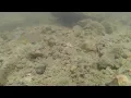 Kayaking Adventures - 8